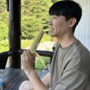 안새내길 | 전망대 운영시간 및 주차요금, 한반도 전기카트체험 요금 및 후기, 단종 유배길 코스 장릉, 청령포 추천