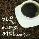 머리못하는집 Daum카페