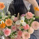 러빙플레르 이미지
