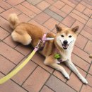 GR(영광군)-[백수로]-하-3 | 죽지도않고돌아왔네백수의블챌포인트파밍기#5