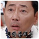 [박순석 찹쌀떡] 강화특산품 사자발약쑥 인절미 내돈내산 후기