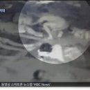 변호사김동현법률사무소 이미지