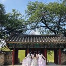 경주 한복대여 꽃길한복 솔직후기 인생샷 남기는 팁 방출