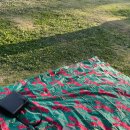 GS25전남대학교 이미지