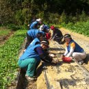김종순농장 이미지