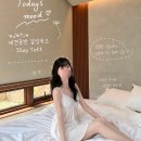 애견시선 | [서울근교 애견동반 독채숙소, 감성숙소]스테이옛 서로의시선