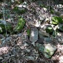 학현산성 이미지