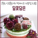 달꽃담은