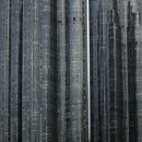 숲 바다 이미지