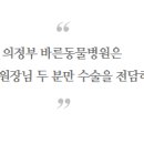 더바른 동물병원 이미지