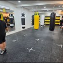 은전로 | 연천복싱 체육관 여성반 수업 직접 다녀본 생생 후기