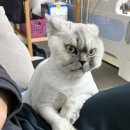 향단이네김해뒷고기 이미지