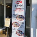 [창원마산양덕동] 김군연어 마산점: 런치세트 먹고 온 후기