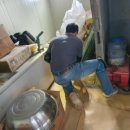 안집농장 이미지