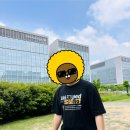 [무신사 체험단] 언탭트 스튜디오 레트로 레터링 그래픽 티셔츠 후기｜오버핏 반팔티 추천