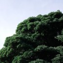 소안미라펜션 이미지