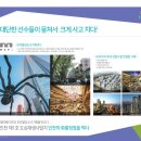 앨리웨이 인천 이미지