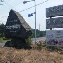 월령 선인장 이미지