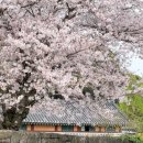 전기차충전소_삼성혈 인근 공영주차장 이미지