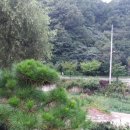 뉴삼성공인중개사무소 이미지