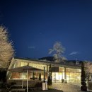 선미 | [경기/광주]오늘도 고기 생각에 찾아간 함박선미🧡솔직 후기