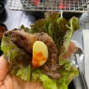 홍이 티스토리