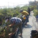 학산농장 이미지