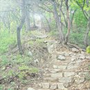 오후의산책 이미지