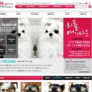 리틀애견타운 이미지