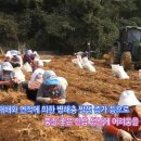 농업회사법인(주)자연식품 이미지