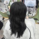 헤어칼라 - 관악구 | 안산 미용실 얇고 손상된 곱슬머리, 더칼라헤어 중단발 레이어드 CS컬펌 후기