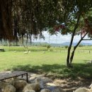 정용목장 이미지