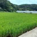 능포초등학교 병설유치원 이미지