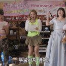 프로비즈 티스토리