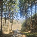 영화마을 이미지