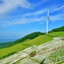 육백마지기 이미지