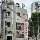세무사백명구사무소 | [대구 동구 신상카페] 깔끔한 원두맛 카디건 CDG 카페 방문 후기