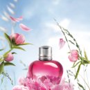 플로라 뷰티라인 이미지