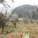 북일농장 이미지