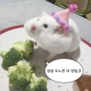 5월 서천그림책학교 | 2025년 5월 일기 (1) - 생일 주간 시작이에요
