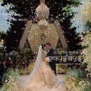 시크릿 | W.11 대구 칼라디움 웨딩 시크릿 가든 본식 후기