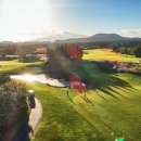 해비치 컨트리클럽 이미지