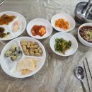 회밥원조회식당