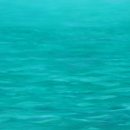 바라보다 이미지