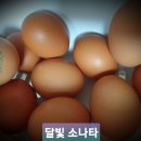 노년층의 단백질 섭취 이미지