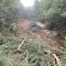 서울국유림관리소 이미지