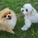 웅상유치원 이미지