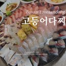 고등어다찌 | 부산 연산동 고등어다찌 연산 본점 아쉬운 솔직후기