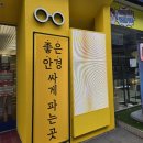 앤쏠로지 | 서현역 안경 앤쏠로지:카린 안경 구입 후기