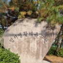 범서생활체육공원 운동시설 | 구영 천상에 있는 범서생활체육공원 다녀온 솔직한 이야기